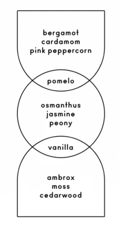 Boy SmellsLes Fragrance -Fashion comprehensive store Boy Smells Les Fragrance 20230901092340 1