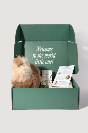 Latierra AlpacaNew Parent Gift Box 9 Latierra AlpacaNew Parent Gift Box - Image 9