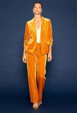 Skies Are BlueRuched Velvet Blazer