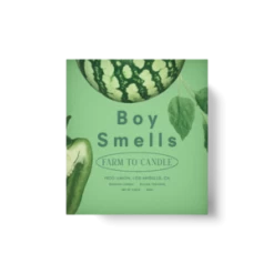 Boy SmellsSnap Candle - Green -Fashion comprehensive store Snap Candle 20230724214623 1
