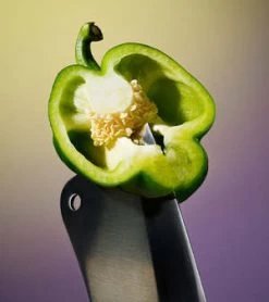 Boy SmellsSnap Candle - Green -Fashion comprehensive store Snap Candle 20230724214624 1