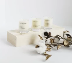 Brooklyn Candle StudioEscapist Votive Set CAndle - White -Fashion comprehensive store brooklyn candle studio Escapist Votive Set CAndle White 20230627205959